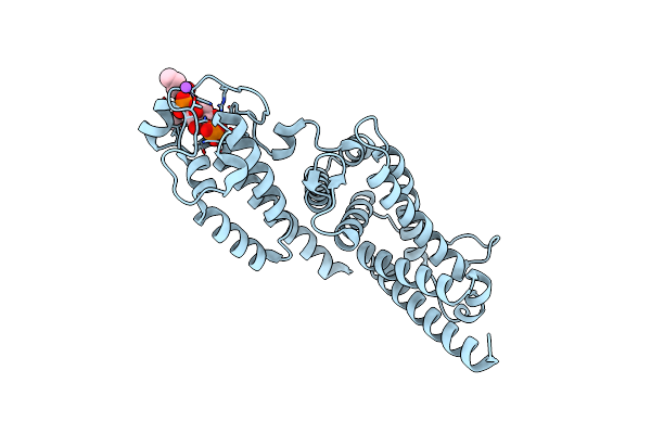 4MXP image