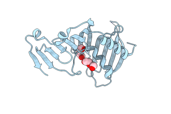 4MXT image