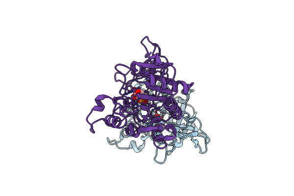 4MXU image