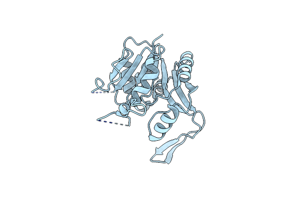 4MYB image
