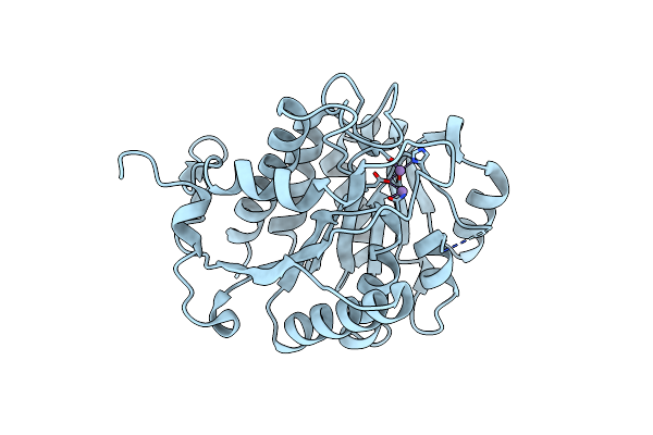 4MYK image