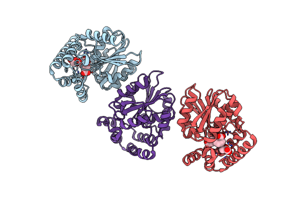 4MYS image
