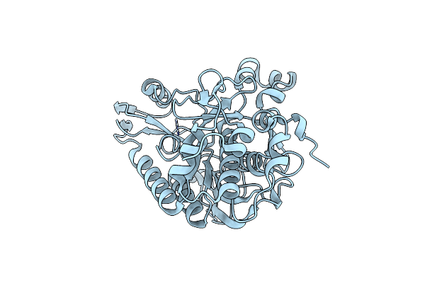 4MZD image