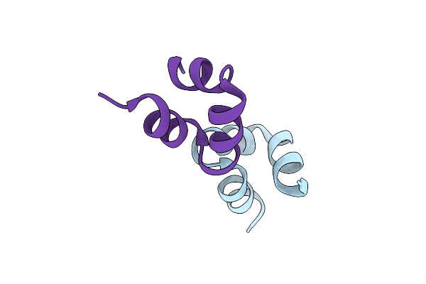 4MZZ image