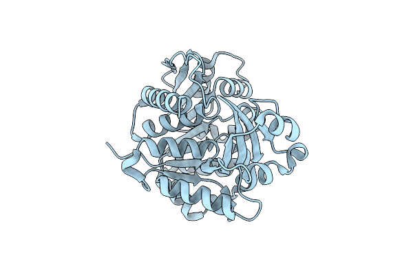 4N08 image
