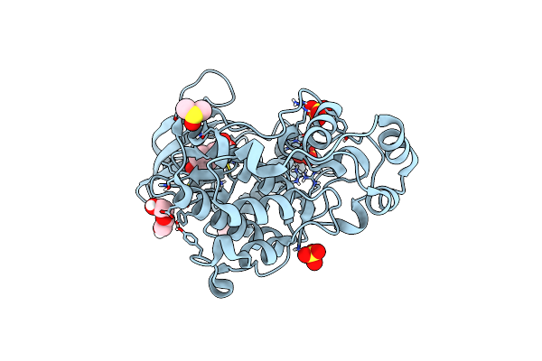 4N0S image