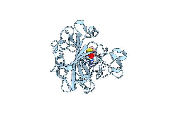 4N0X image
