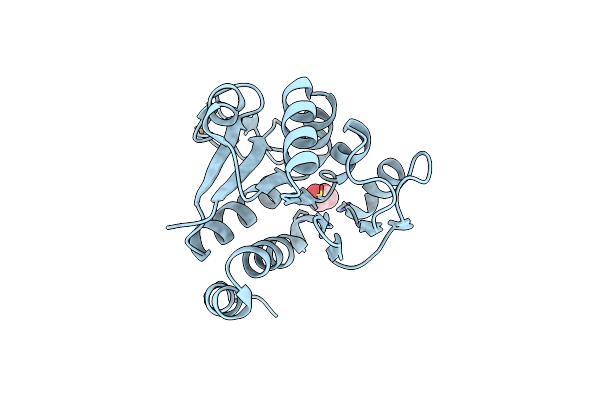 4N12 image