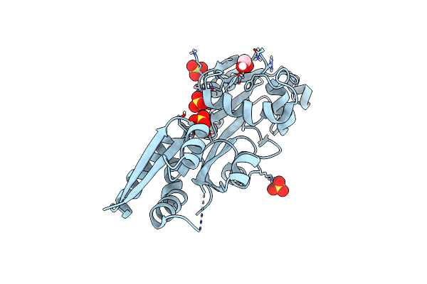 4N13 image