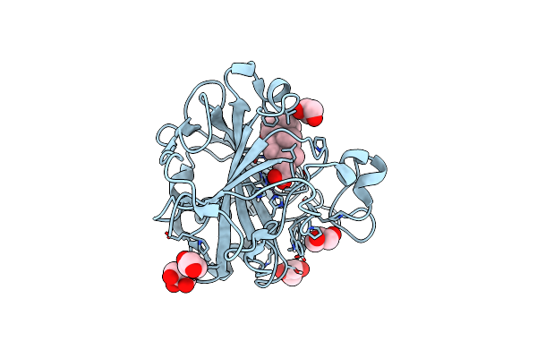 4N16 image