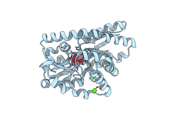 4N17 image