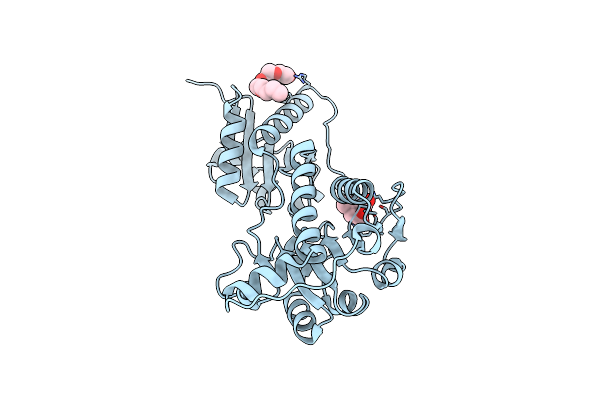 4N18 image