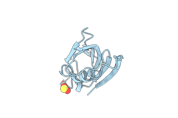 4N19 image