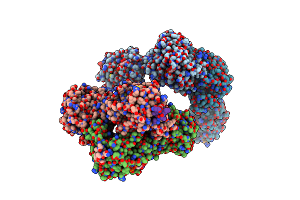 4N1A image