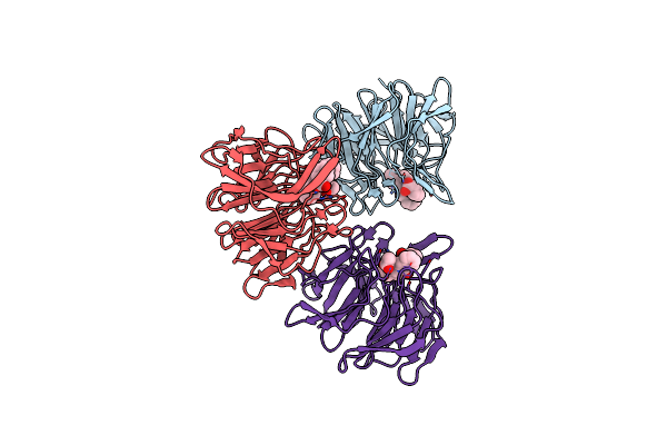 4N1B image