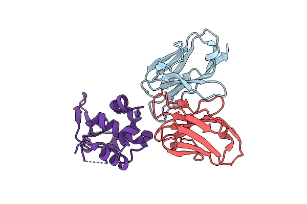 4N1C image