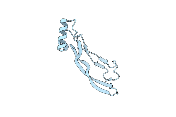 4N1D image