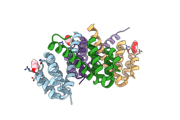 4N1J image