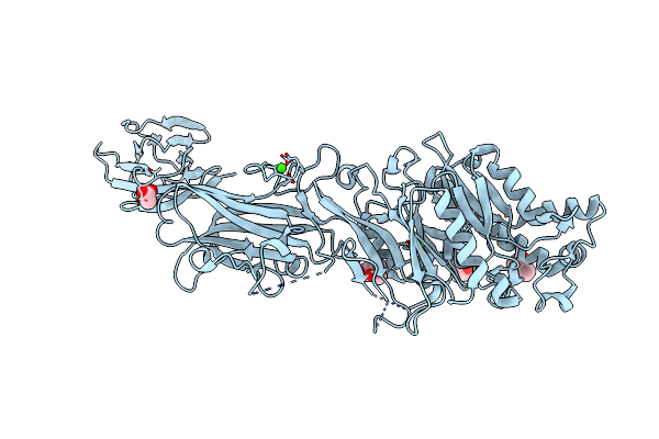 4N20 image