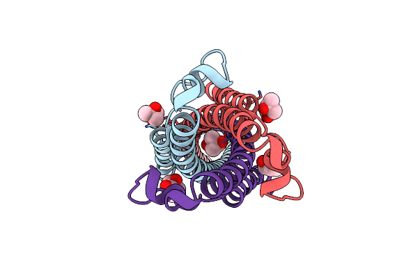 4N23 image