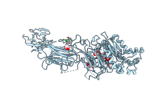 4N24 image