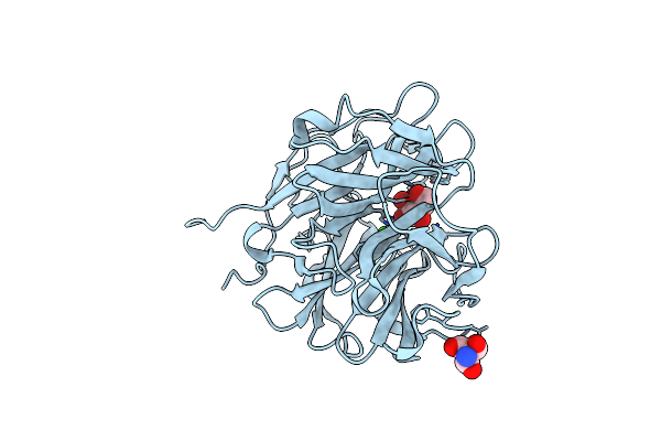 4N2R image