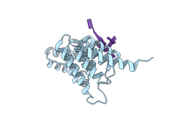 4N2S image