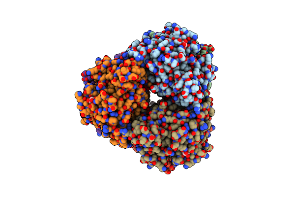 4N2X image