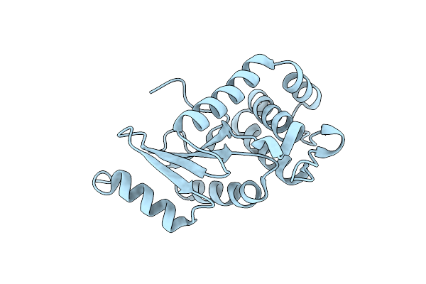 4N30 image