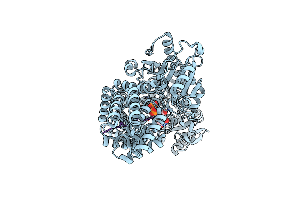 4N3A image