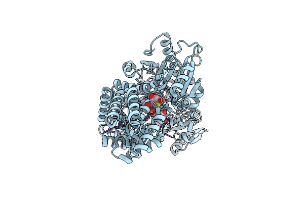 4N3B image