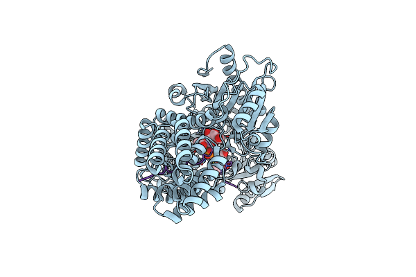 4N3C image