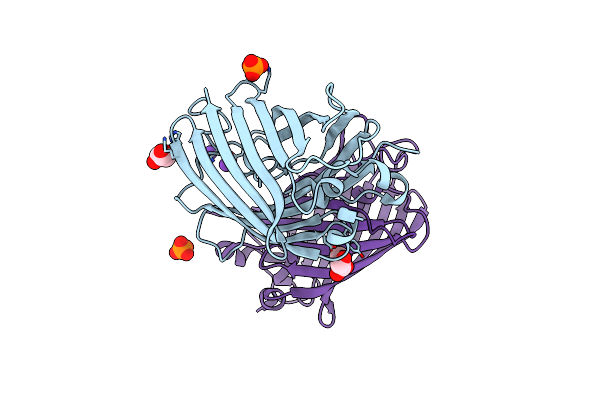 4N3D image