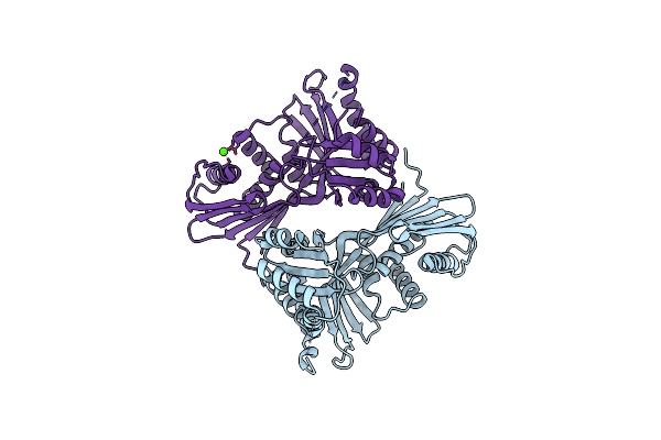 4N3O image