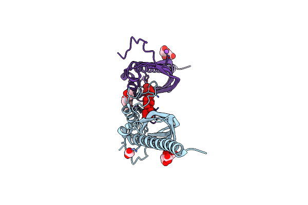 4N3V image