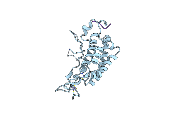 4N3W image