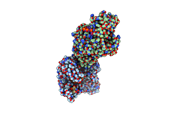 4N41 image