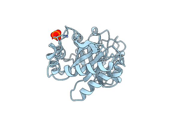 4N42 image