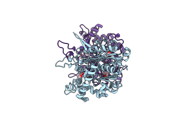 4N44 image