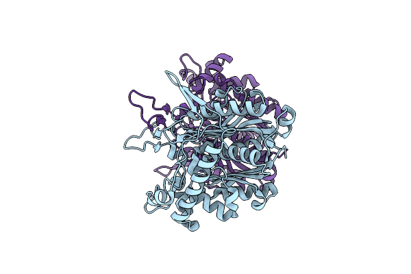4N45 image