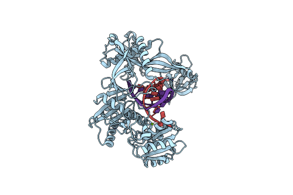 4N47 image