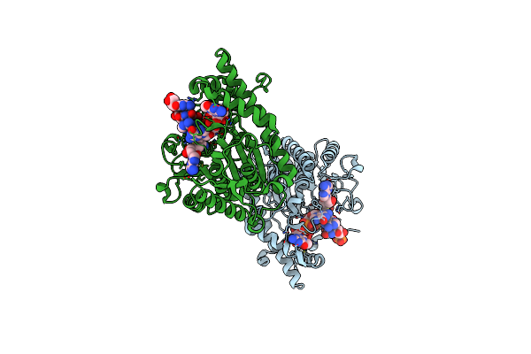 4N48 image