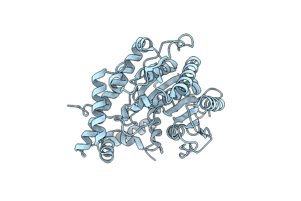 4N4A image