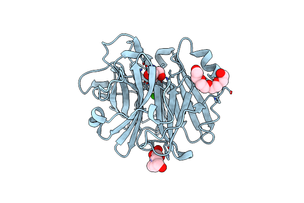 4N4B image