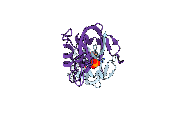 4N4C image