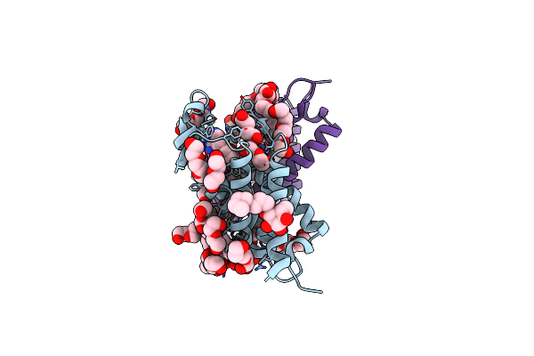 4N4D image