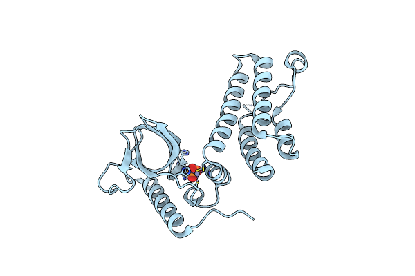 4N4G image