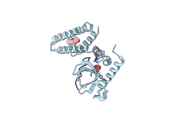 4N4H image