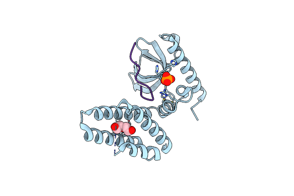 4N4I image