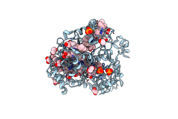 4N4M image